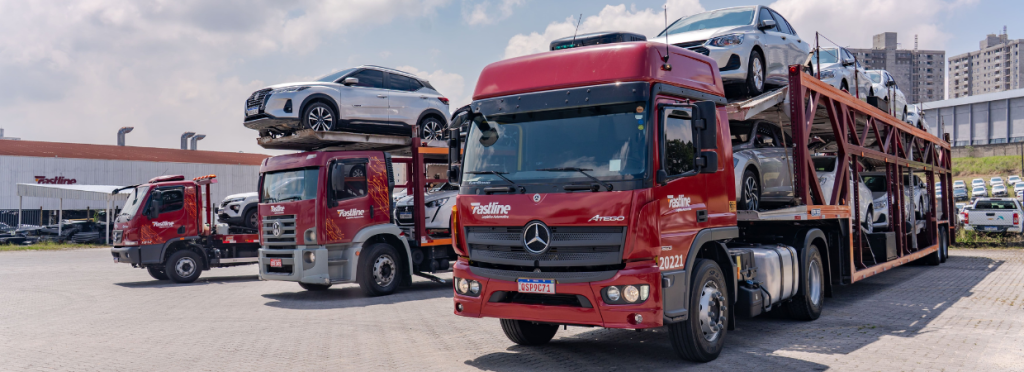 Cegonha carregando veículos para transporte nacional